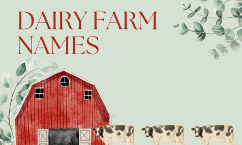 Creative Dairy Farm Name Ideas